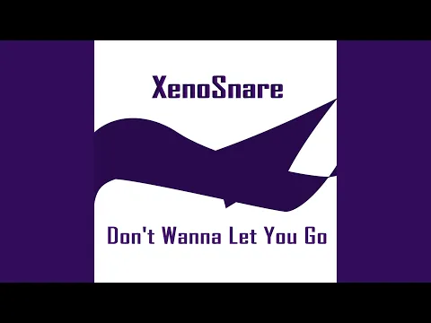 Download MP3 Don't Wanna Let You Go (Radio Version)