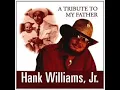 Hank Williams, Jr  -  All In Alabama