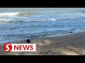 Lagu Body of unknown woman found on Melaka beach