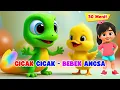 Cicak Cicak di Dinding - Potong Bebek Angsa - Nama Nama Hari dan Lagu Anak Lainnya - Balita TK PAUD