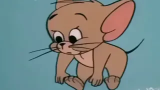 Tom And Jerry Ah Sweet Mouse Story Of Life 1965 Tom And Jerry Episode 134 T J 