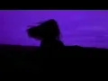 Download Lagu Christoph Andersson - Tumblr Girls (Outro Loop)
