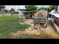 Start New Task Moving Stones Filling Deep Pond Using KOMATSU Dozer With Team Trucks 5t Dumping