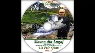 slauco din lugoj tu ma cunosti sti ce am facut doina accordeon official video 