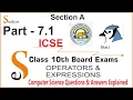 7 1 Class 10 Board Exam Section A Operators Expressions in Java
