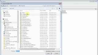 MIPS Print Float Single