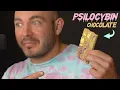Adam Eats An Entire Mushroom Chocolate Bar Vital Educational Content