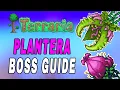 Terraria How To Beat Defeat Plantera EASY Tutorial Boss Fight Guide