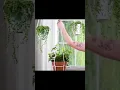 Download Lagu How to hang plant pot with single rope?