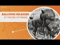 Here s the history behind the famous Macy s Thanksgiving Day Parade