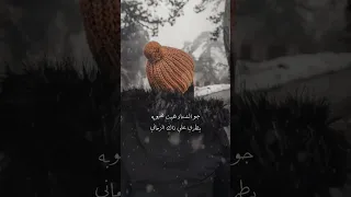 شيله يازين وقت الشتاء والقاع ممطوره أداء فواز النهار 2023 