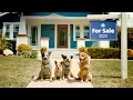 A Moving Commercial