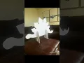 Dinosaur Theme Birt ay Party Decor DIY