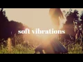 Shy Girls - Trivial Motion