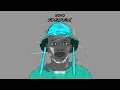 SGVO - Dub Persuit
