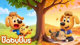 Thú cưng Sunny của Labrador | Hoạt hình cảnh sát trưởng Labrador | BabyBus