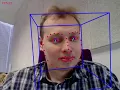 OpenFace tracking result