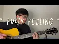 Fuzzy Feeling - Grentperez & Benny Sings (Guitar Cover)