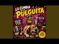 La cumbia de la pulguita