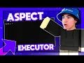 ASPECT EXPLOIT - FREE DOWNLOAD 2024 ROBLOX SCRIPT EXECUTOR LEVEL 8 EXPLOIT KEYLESS
