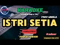 Download Lagu ISTRI SETIA-FANY SABILA (NADA PRIA)