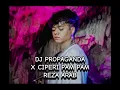 Download Lagu DJ PROPAGANDA X CIPERI PAM PAM REZA ARAB