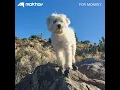 Treasure the Good Times - Mokhov