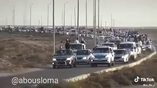 مسير قبائل أولاد علي أبيض بدو محافظة مطروح 