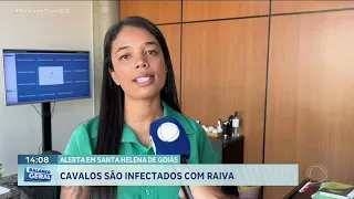 Sete cavalos são infectados com raiva e prefeitura de Santa Helena faz alerta