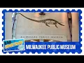 CBS 58 Hometowns Milwaukee Public Museum
