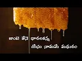 Download Lagu Junte Thene dharala kanna Yesu Namame Madhuram | జుంటె తేనె ధారలకన్న యేసు నామమే మధురం With Lyrics