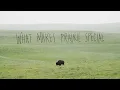 Download Lagu What Makes Prairie Special