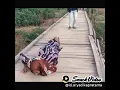 Aku jiji