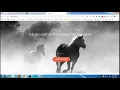 React App Deploy on Git hub pages How to deploy react base website on git-hub pages