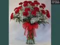 Cute Carnation Flower Beautiful Picture Collection | Carnation Bouquet
