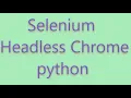 selenium headless chrome in python