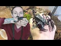Download Lagu Jinx - the most GENTLE Scorpion you'll ever see - Gets MUCH DESERVED ENCLOSURE UPGRADE
