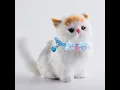 Cat Collar With Bow Tie And Bell