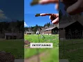 How Do You Homestead and Entertain in Cowlitz County Washington