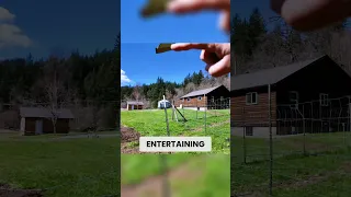 How Do You Homestead and Entertain in Cowlitz County Washington