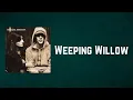 Download Lagu Richard Ashcroft - Weeping Willow (Lyrics)