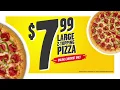Hungry Howie s Pizza Stomach Trouble 15 799 Deal