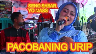 Download PACOBANING URIP LAGU SPESIAL BUAT MAS KUCUNG DARI MBAK NITA • ALROSTA DONGKREK SRAGEN • MARGO MULYO MP3