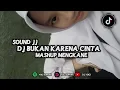 Download Lagu DJ BUKAN KARENA CINTA X MASHUP VIRAL TIKTOK