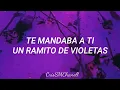 "Ramito de violetas" -- Mi banda el Mexicano. ( CON LETRA )