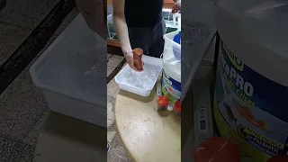 Green Dragon Küp Boşaltma I144 Lda16 Greendragon Singapur Brokoli Vatoz Küp Boşaltma 