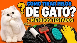 COMO TIRAR PELOS DOS ANIMAIS DO SOFÁ, DAS ROUPAS - Gatil Hauser