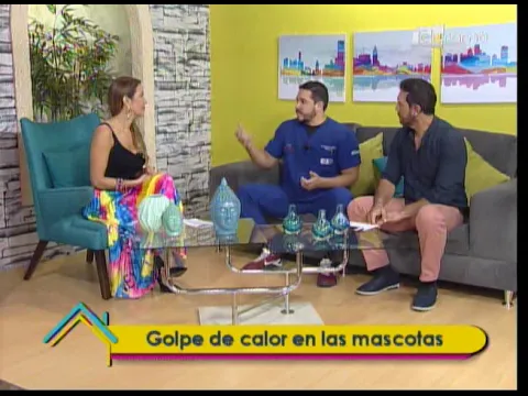 Golpe de calor en las mascotas 