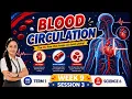 TERM 1 Week 9 - Session 3 SCIENCE 6