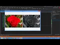 C Camera and Capture Frame using AForge library Image Color Filter